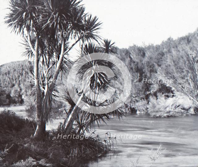 Te Waihou River, Okoroire, late 19th-early 20th century.  Creator: Unknown.