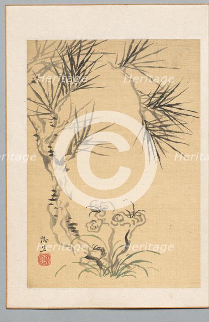 Pine Tree and Fungus, 19th century. Creator: Tsubaki Chinzan (Japanese, 1801-1854).