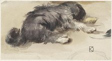 Sleeping dog, 1841-1857. Creator: Johan Daniel Koelman.