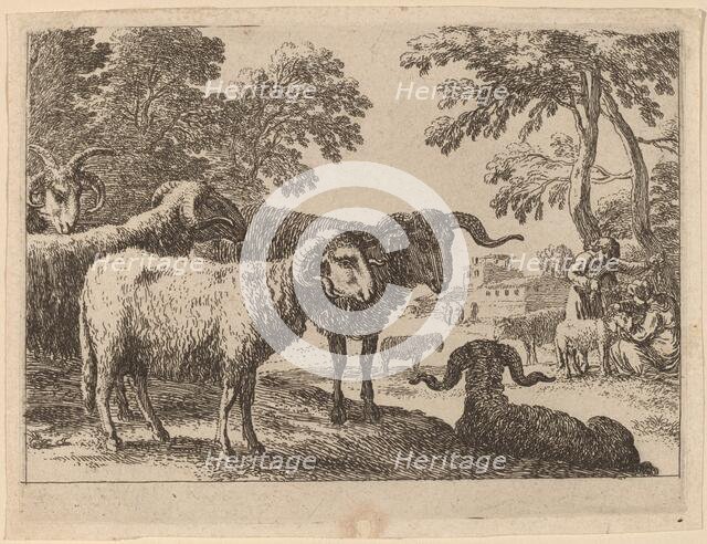 Rams. Creator: Herman van Swanevelt.