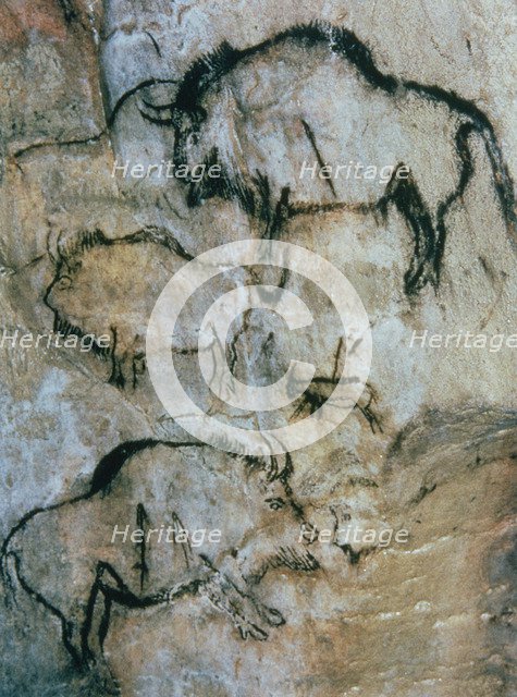 Panel with several overlapping bisons and a small goat, this one and several bisons are wounded b…