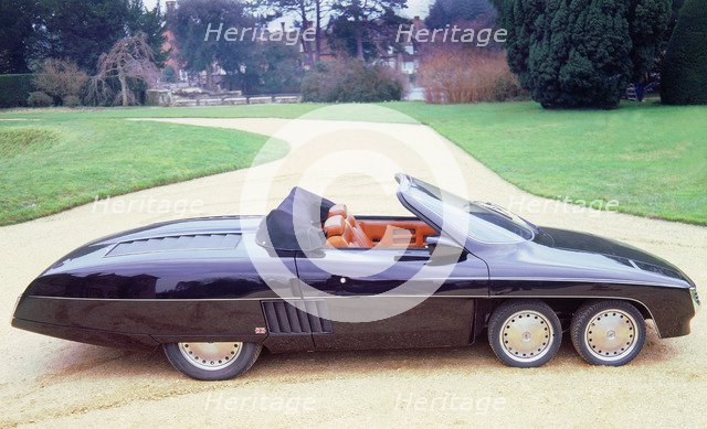 1978 Panther 6. Artist: Unknown.