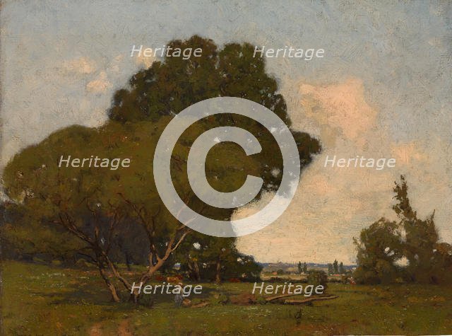 The Trees, Early Afternoon, France, ca. 1905. Creator: William A. Harper.