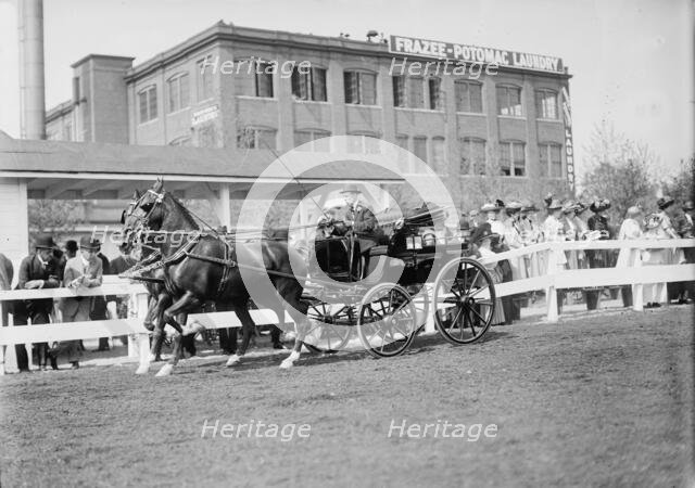 Horse Shows - Unidentified Men, Driving, 1911. Creator: Harris & Ewing.