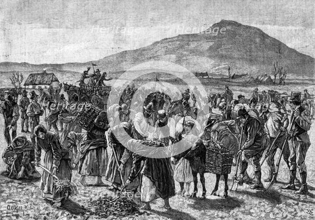 The State of Ireland: tilling the farm of an imprisoned Land Leaguer, 1881. Creator: Unknown.