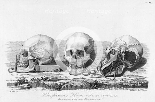 Illustration of Nukagiva Skulls, 1813. Creator: Unknown.