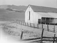 Cowbarn and hills, California dairy ranch, Contra Costa County, California, 1938. Creator: Dorothea Lange.