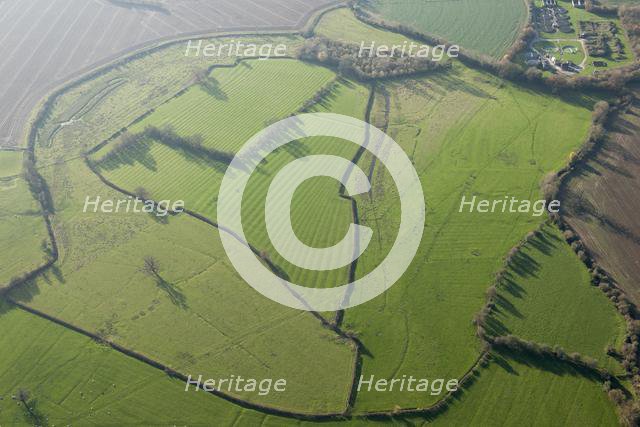 Ridge and furrow earthworks, Powick, Worcestershire, 2014. Creator: Historic England Staff Photographer.