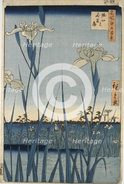Horikiri Iris Garden, 1857. Creator: Ando Hiroshige.