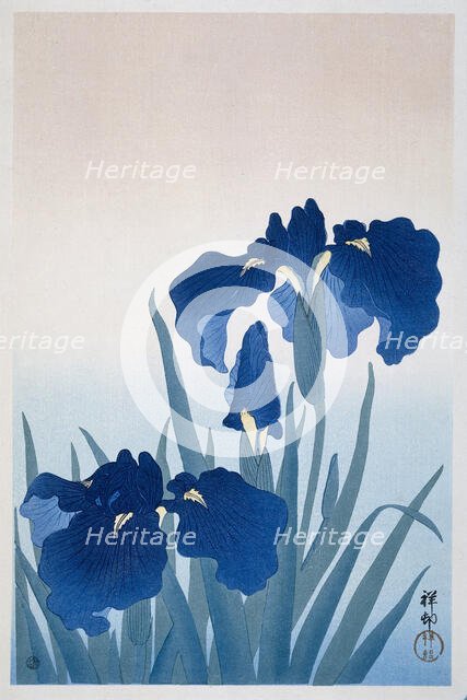 Irises, 1925-1936. Creator: Ohara, Koson (1877-1945).