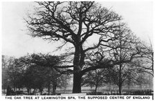 The oak at Leamington Spa, the supposed centre of England, 1936. Artist: Unknown