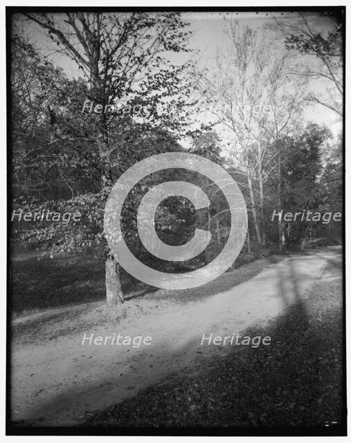 Rock Creek Park scenes, between 1910 and 1920. Creator: Harris & Ewing.