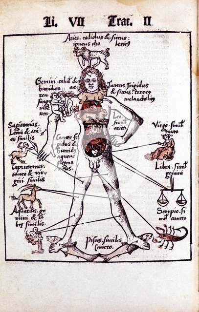 Relationship of the organs of the body, the Humours and signs of the Zodiac, 1508. Artist: Unknown