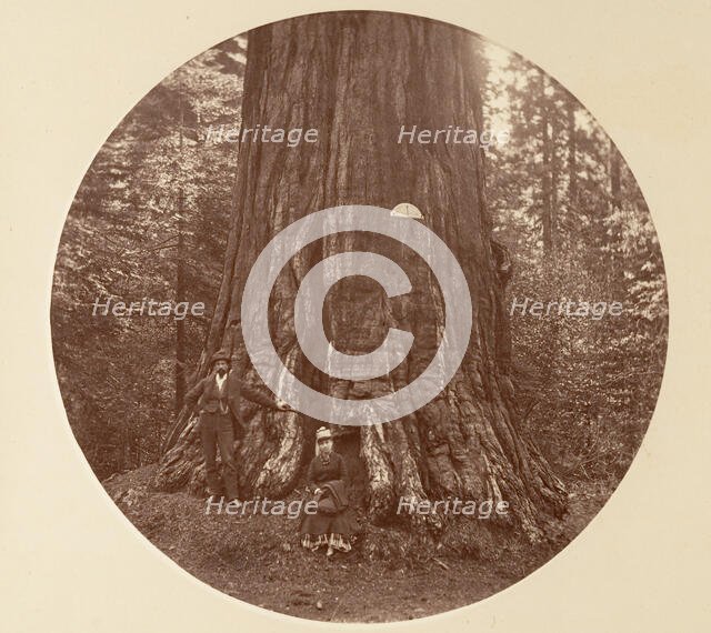 The Empire State - C. Grove, ca. 1878. Creator: Carleton Emmons Watkins.