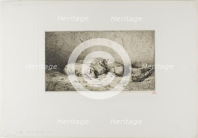 Four Sleeping Pigs, 1850. Creator: Charles Emile Jacque.