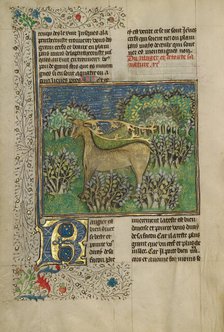 Reindeer; Livre de la Chasse, about 1430-1440. Creator: Unknown.