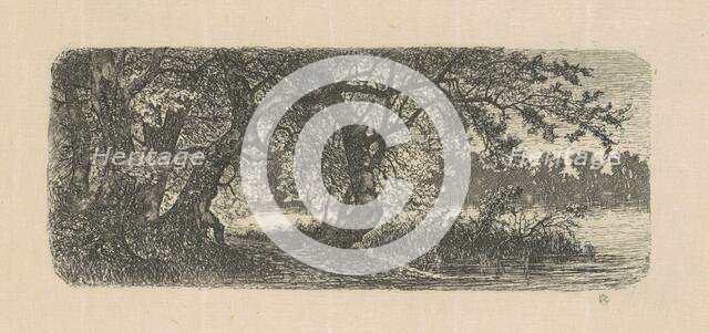 Water Elms, 1870s-1880s. Creator: Carl C. Brenner.