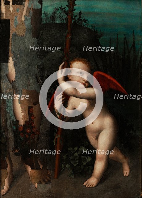 Cupid with a myrtle, before 1593. Artist: Luini, Aurelio (1530-1593)