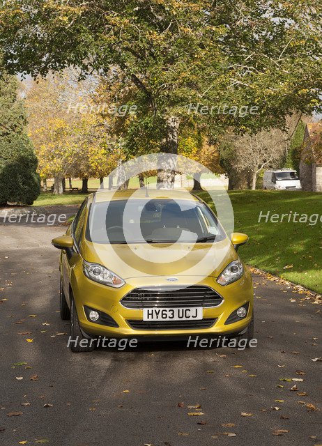 2013 Ford Fiesta Econetic Artist: Unknown.