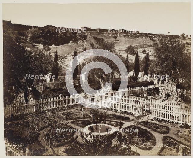 Jardin De Gethseman #303, Printed c.1870. Creator: Felix Bonfils.