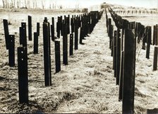 Anti-tanks rails, Maginot Line, France, 20th century. Artist: Unknown