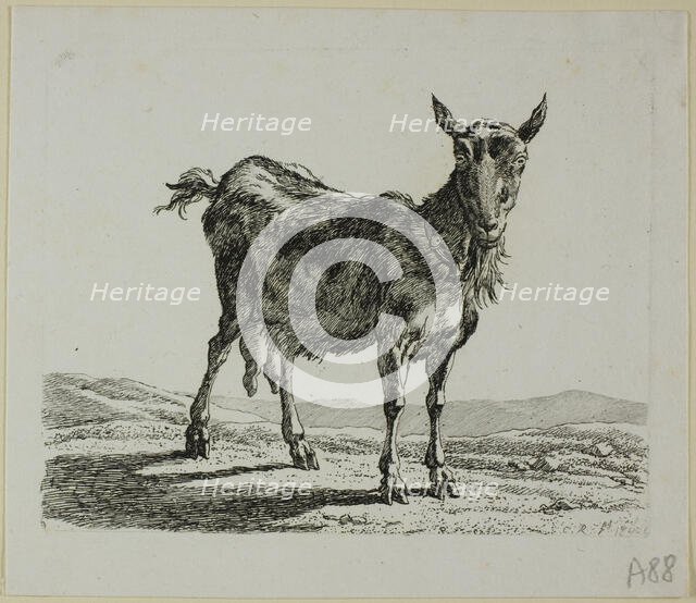 Standing Goat, from Die Zweite Thierfolge, 1800. Creator: Johann Christian Reinhart.
