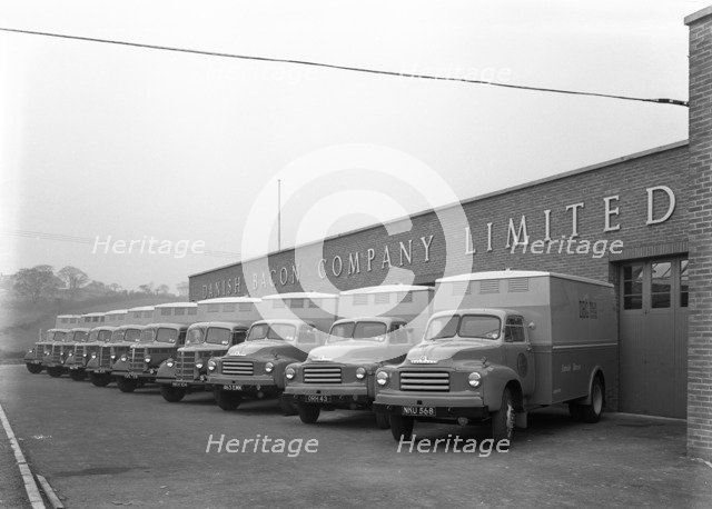 Bedford delivery lorries at the Danish Bacon Co, Kilnhurst, South Yorkshire, 1957.  Artist: Michael Walters