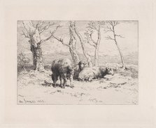 Moutons, 1868. Creator: Charles Emile Jacque.