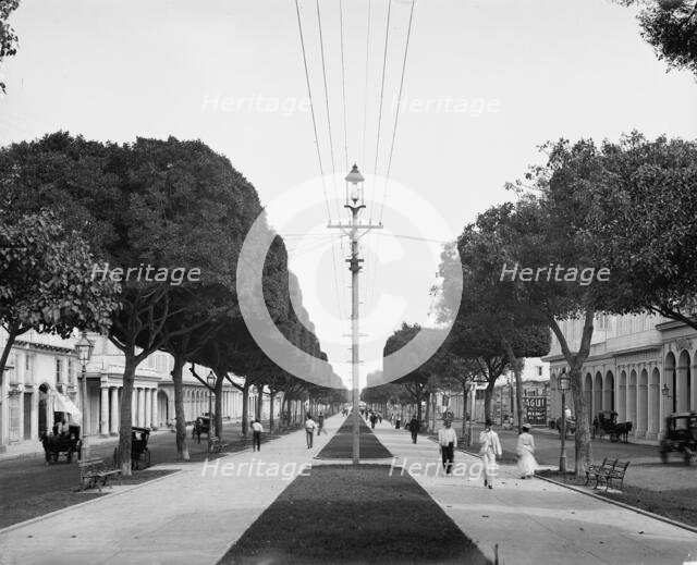 The Prado, looking north, Havana, Cuba, c1904. Creator: Unknown.