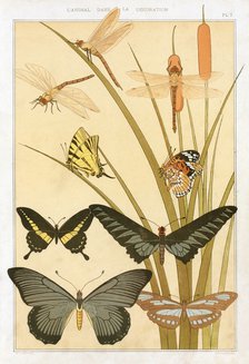 Butterflies, pub. 1897. Creator: Maurice Pillard Verneuil (1869?1942).