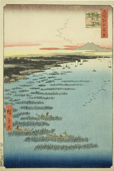 Samezu Coast in South Shinagawa (Minami-Shinagawa Samezu kaigan), from the series "One Hundred Famou Creator: Ando Hiroshige.