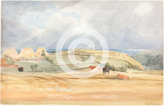Landscape with Cattle (Somerset?), 1830. Creator: James Bulwer.