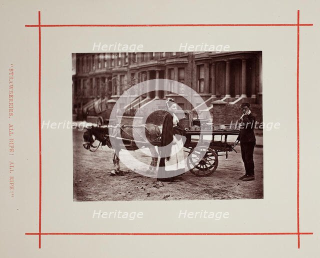 Strawberries. All ripe! All ripe!, 1877. Creator: John Thomson.