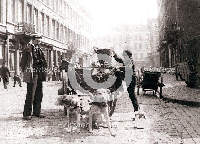 Boy with dogcart, Antwerp, 1898.Artist: James Batkin