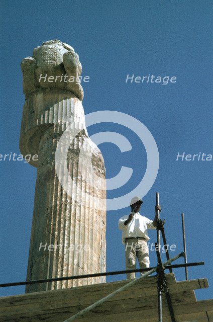 Protome of half horse, the Apadana, Persepolis, Iran