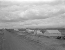 Roadside ranch camp owned by opposer to Resettlement Administration's Kern County migrant..., 1936. Creator: Dorothea Lange.