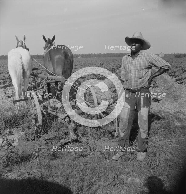 Negro cropper near Lake Dick, Arkansas, 1938. Creator: Dorothea Lange.