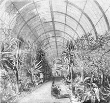 The great Chatsworth Conservatory - the interior, from the Central Walk, 1844. Creator: Unknown.