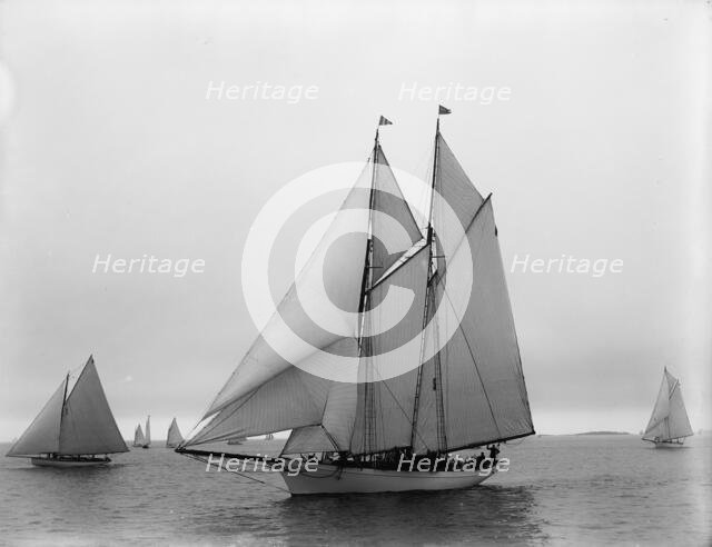 Viator, 1896 July 22. Creator: John S Johnston.