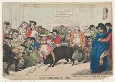 The Wonderful Pig, April 12, 1785., April 12, 1785. Creator: Thomas Rowlandson.