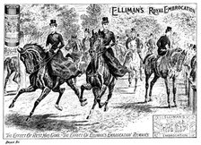 Advertisement for Elliman's Royal Embrocation, 1895. Creator: Joseph Swain.