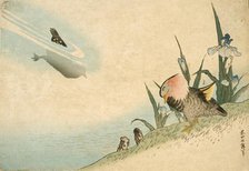 Mandarin Ducks, 19th century. Creator: Hokusai.
