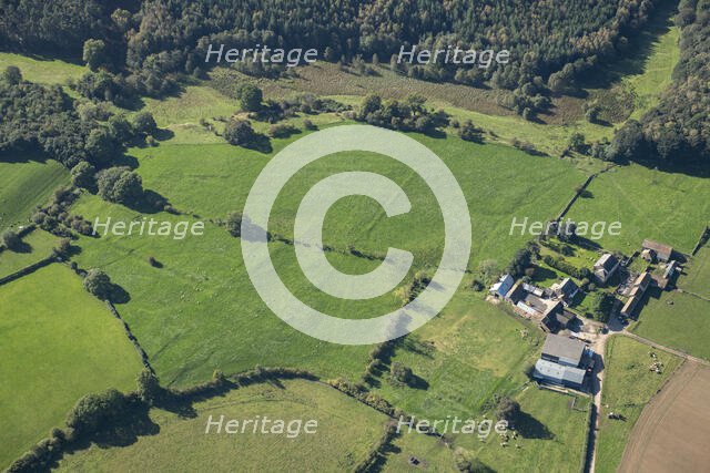 Remains of a Cistercian grange and medieval settlement, High Cayton, North Yorkshire, 2023. Creator: Robyn Andrews.
