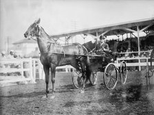 Gheen, J.O - Driving 'Boscobel' In Horse Show, 1912. Creator: Harris & Ewing.