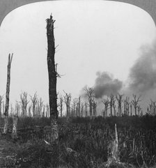 High explosive shells bursting in Mametz Wood, France, World War I, 1916. Artist: Realistic Travels Publishers