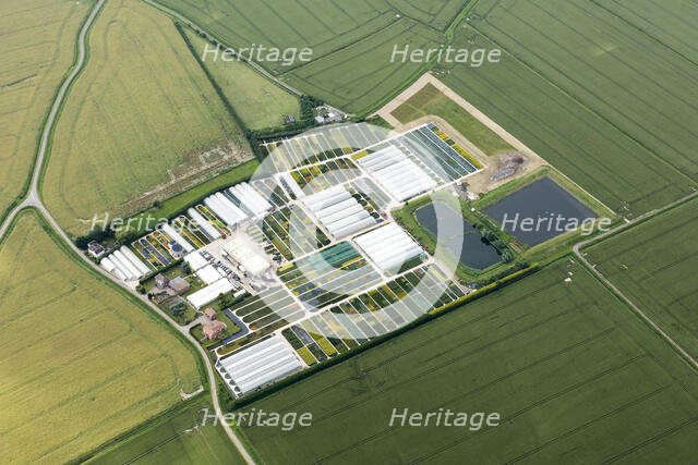 Golden Grove Nursery, Lincolnshire, 2019. Creator: Emma Trevarthen.