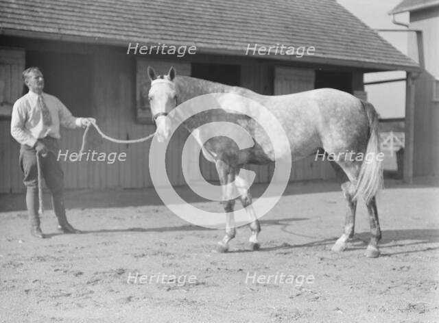 Fletcher, Walter D. Fletcher, with horse, 1934 Sept. Creator: Arnold Genthe.