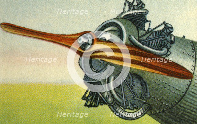 Wooden aircraft propeller made by the Hugo Heine Propeller-Werk company, 1932.  Creator: Unknown.