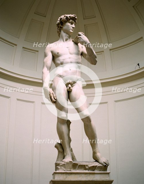Statue of David, Accademia Gallery, Florence, Italy