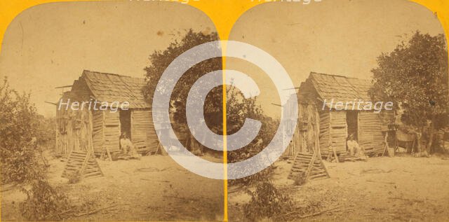 Subject for reconstruction', c1850-c1930. Creator: Adin French Styles.